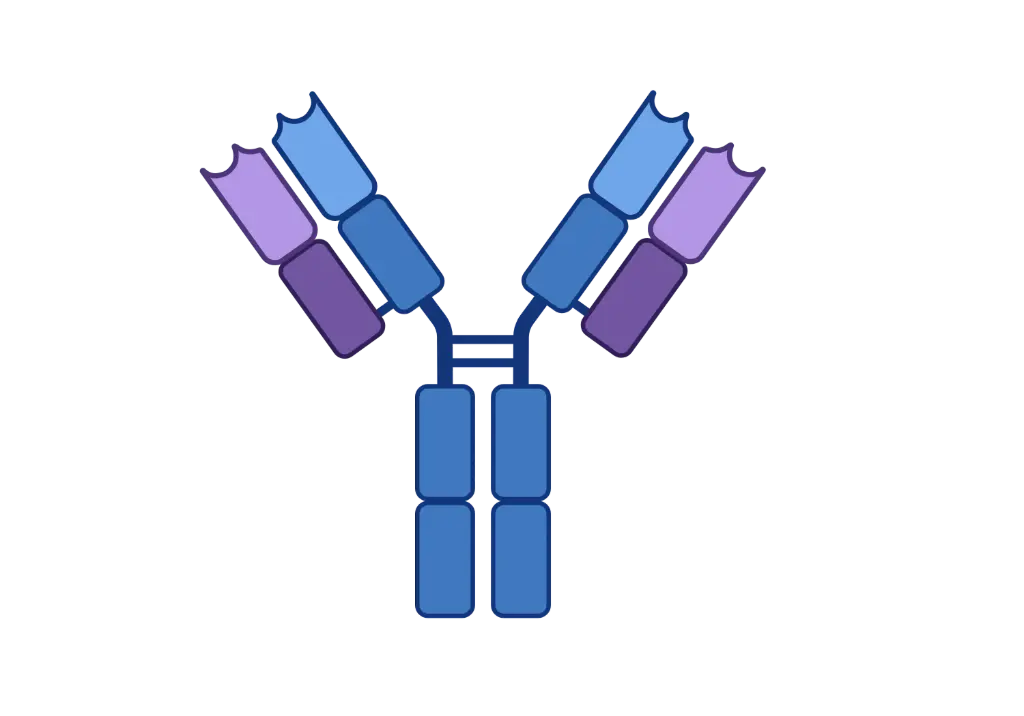 ADRBK1 Antibody   
