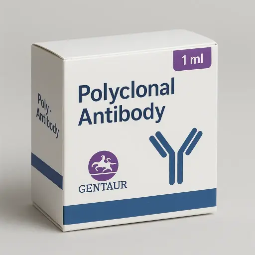 (KO Validated) ROCK1 Polyclonal Antibody