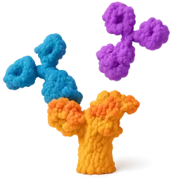  488 Rabbit anti-Human CD84 mAb (100 T)
