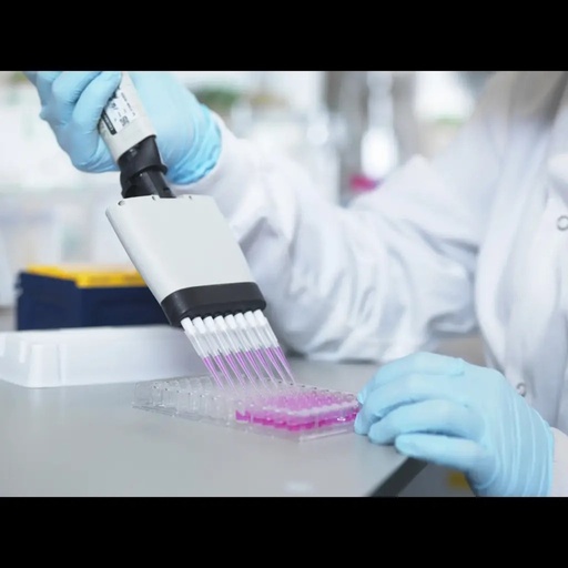 [E1726b] Bovine CD163 / Scavenger receptor cysteine rich type 1 protein M130 ELISA Kit